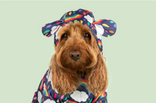 Load image into Gallery viewer, Dog Raincoat Small