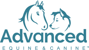 Advanced Equine
